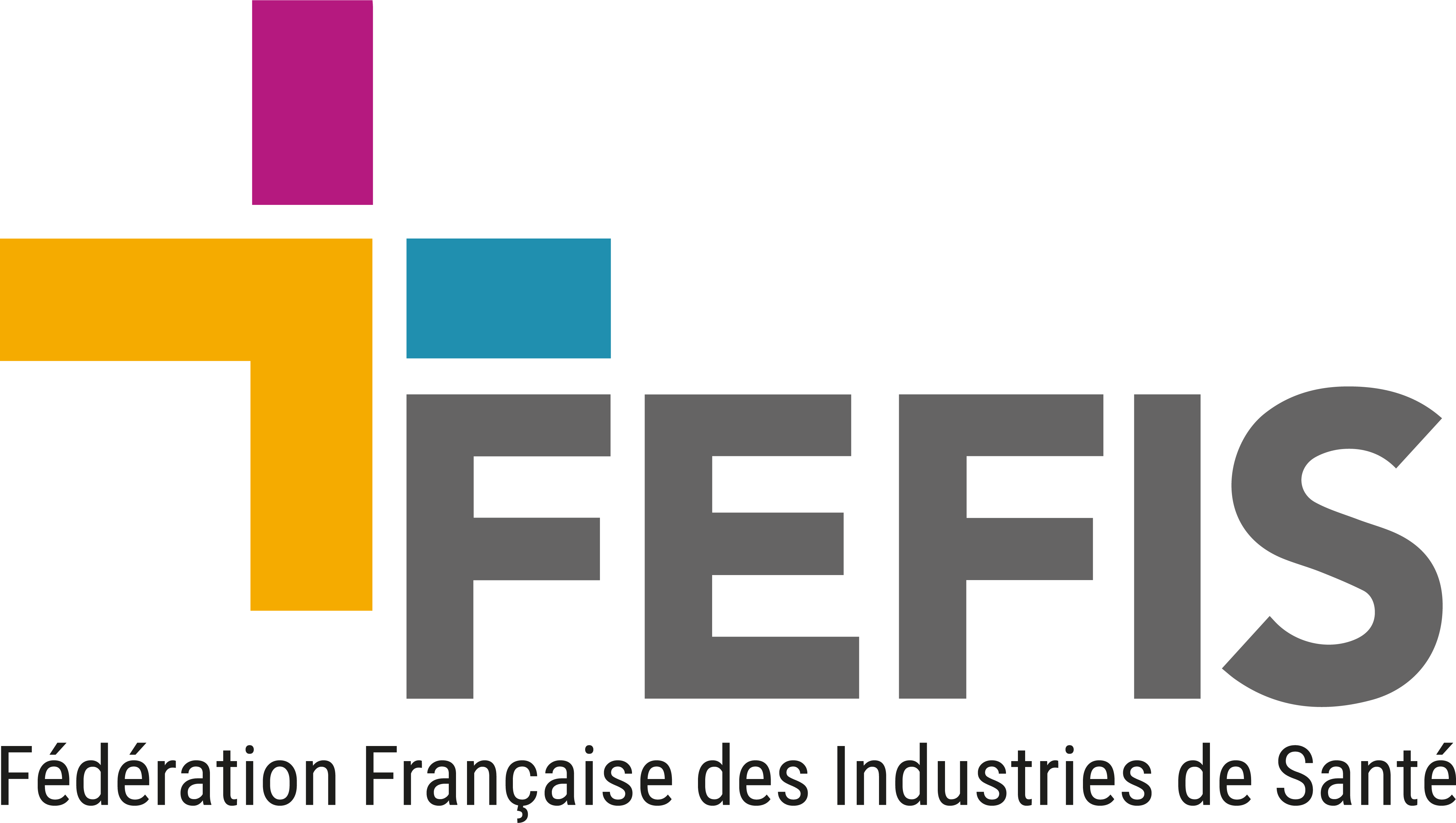 FEFIS logotype